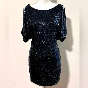 Stunning Cache Blue Sequin Dress